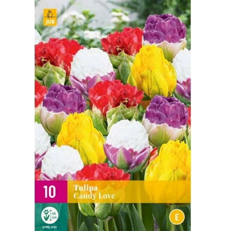 Tulipan 'Candy Love' Mix XXL Tulips 'Candy Love' Mix Blomsterløg, Antal Pr. Pakke, Ca. 10 Stk.