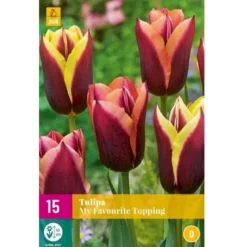 Tulipan 'My Favourite Topping' Mix XXL Tulips 'My Favourite Topping' Mix Blomsterløg, Antal Pr. Pakke, Ca. 15 Stk.