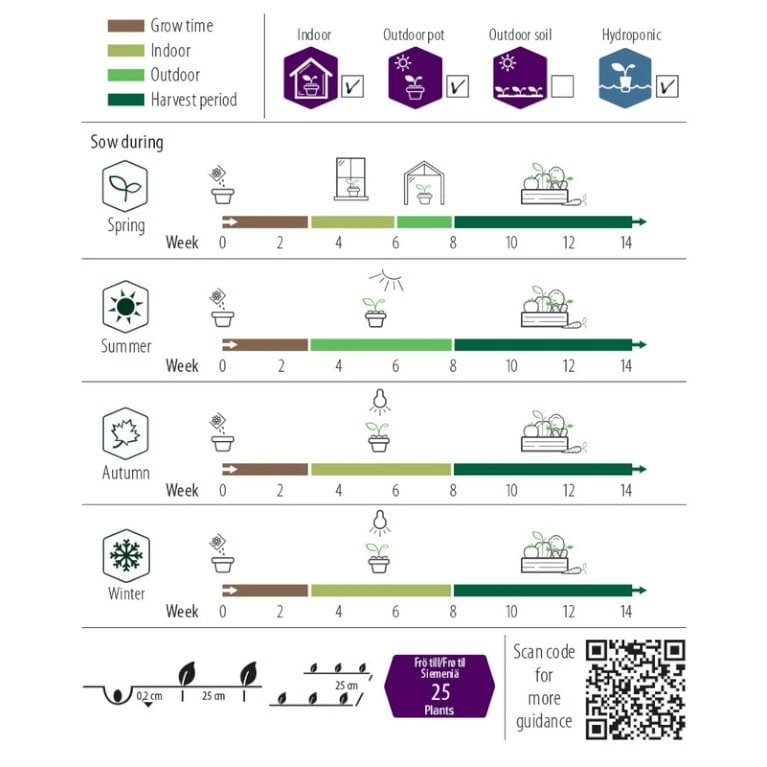 Basilikum 'Loki' Øko Ocimum Basilicum L. 'Loki' Frøpose, Antal Pr. Pakke, Ca. 25 Stk. 2 Basilikum 'Loki' Øko Ocimum Basilicum L. 'Loki' Frøpose, Antal Pr. Pakke, Ca. 25 Stk. - Billede 2