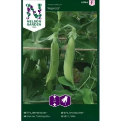 Slikært 'Nairobi' Pisum Sativum 'Nairobi'