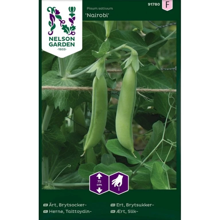 Slikært 'Nairobi' Pisum Sativum 'Nairobi' 1 Slikært 'Nairobi' Pisum Sativum 'Nairobi'