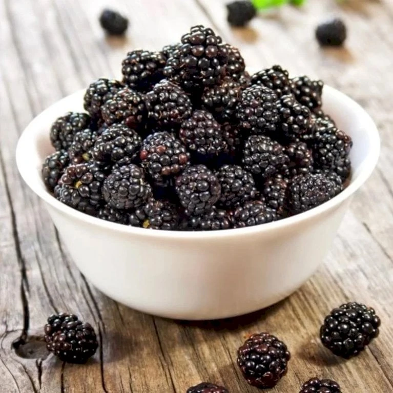 Brombær 'Triple Crown' Rubus Fruticosus 'Triple Crown' Potte 2,0 Liter,- Opbundet 2 Brombær 'Triple Crown' Rubus Fruticosus 'Triple Crown' Potte 2,0 Liter,- Opbundet - Billede 2